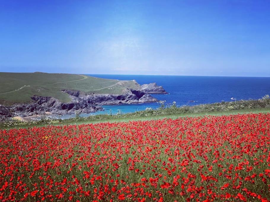 St Columb Major An Entire Fabulous Holiday Home - It'S All Yours! מראה חיצוני תמונה